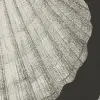 Shells, Graphite
