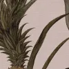 Pineapple, Soft Pink