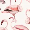 Flamingos, Soft Pink