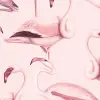 Flamingos, Bubblegum