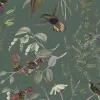 Hummingbird, Lush