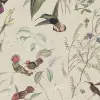 Hummingbird, Sand