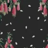 Lotus, Black