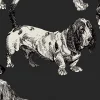 Dogs, Harlequin