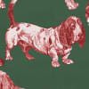 Dogs, Red Tan