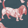 Dogs, Blue