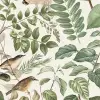 Forest Animals, Soft