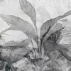 Palm Leafs