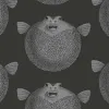 Puffer Fish, Black