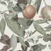 Peach Valley Bold, Spring