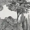 Chatsworth Park, Graphite