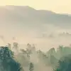 Morning Light