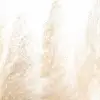 Soft Reed