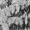 Forest Park, Graphite