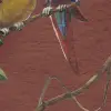 Parrots, Velvet