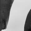 Wiggle Shapes,  Graphite
