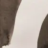 Wiggle Shapes,  Brown