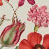 Wild Flowers, Summer