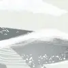 Happy Whale