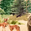 Forest Friends