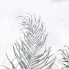 Hummingbird Leafs