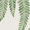 Dangling Fern, Green