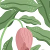 Cool Flora, White & Pink