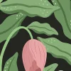 Cool Flora, Black & Pink