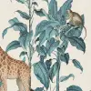 Wildlife Stroll, Multi