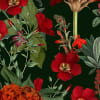 Wintergarden, Red