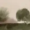 Stormy Forest, Green