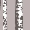 Birch Grove, Gray