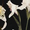 Dramatic Bouquet, Black