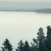 Top View, Day