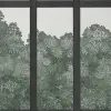 Vintage Windows, Soft Green