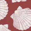 Bold Shell, Red