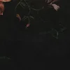 Romantic Garden, Night