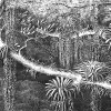Secret Well Repeatable, Black & White