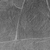 Subtle Figure, Black & White