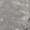 Owl Forest, Gray