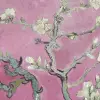 Almond Blossom, Pink