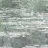 The Japanese Footbridge, Soft
