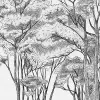 Graphic Trees, Black & White