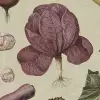 Vintage Greens Beige
