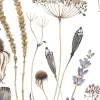 Dried Flower Meadow, Beige