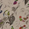 Hummingbird, Beige