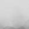 Gradient Flow, Black