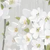 Cherry Blossom Tree, White