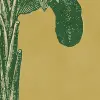 Timeless Tropics, Yellow