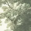 The Vintage Grove, Spring Green